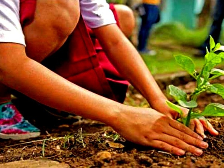 कागेश्वरी धाममा एक हजार ५०० वृक्षारोपण